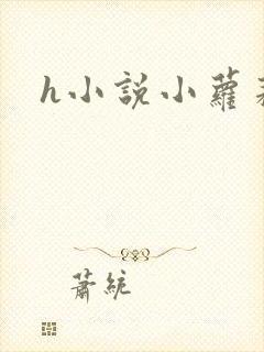 h小说小萝莉