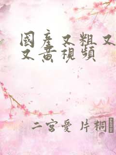 国产又粗又猛爽又黄视频