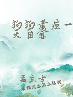 狗狗黄疸一般几天自愈