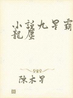 小说九星霸体诀龙尘