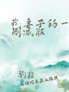 我妻子的一切未删减版