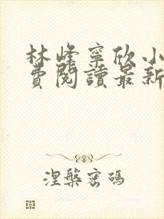 林峰宁欣小说免费阅读最新章节