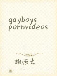 gayboyspornvideos