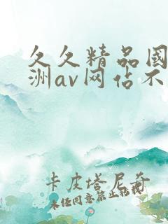 久久精品国产亚洲av网站不卡