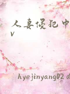 人妻侵犯中字av