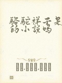 骆驼祥子是老舍的小说吗