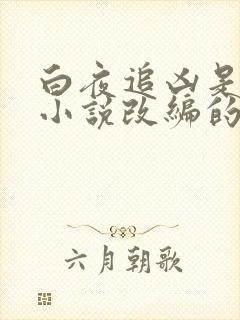 白夜追凶是根据小说改编的吗