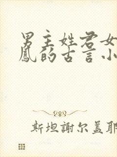 男主姓君女主姓凤的古言小说