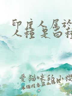 印度人属于什么人种 是白种人还是黄种人