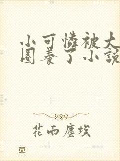 小可怜被大佬们圈养了小说免费阅读