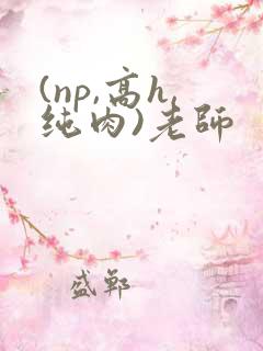 (np,高h,纯肉)老师