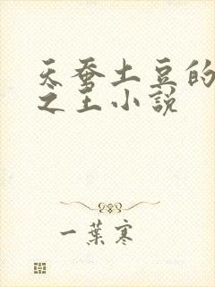 天蚕土豆的万相之王小说