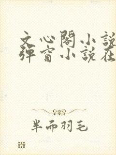 文心阁小说_无弹窗小说在线免费阅读