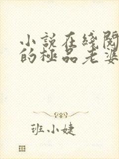 小说在线阅读我的极品老婆