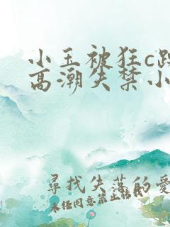 小玉被狂c躁到高潮失禁小说