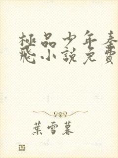 极品少年秦姨小飞小说免费阅读