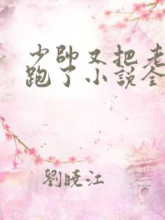 少帅又把老婆气跑了小说全文