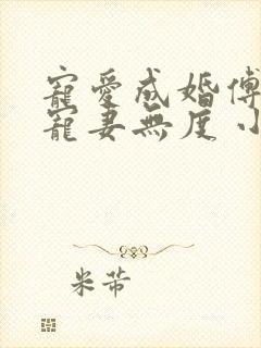 宠爱成婚傅先生宠妻无度 小说