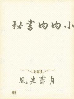 秘书肉肉小说