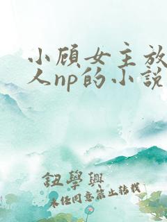 小顾女主放荡勾人np的小说