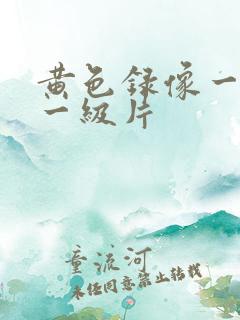 黄色录像一级片一级片