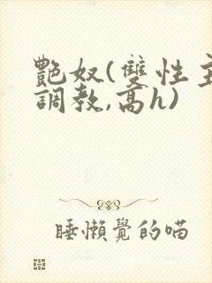 艳奴(双性主奴调教,高h)