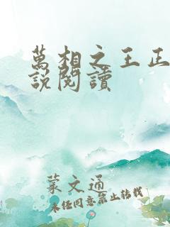 万相之王正版小说阅读
