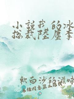 小说我的冰山女总裁陆尘李清瑶