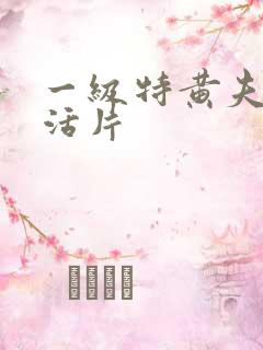 一级特黄夫妻生活片