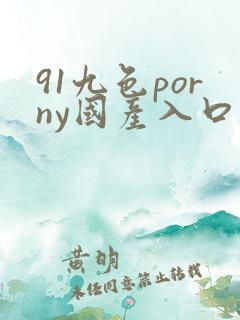 91九色porny国产入口