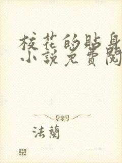 校花的贴身高手小说免费阅读无弹窗