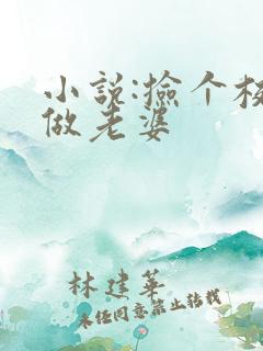 小说:捡个校花做老婆