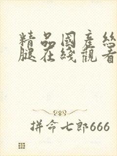 精品国产丝袜美腿在线观看