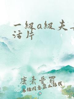 一级a级夫妻生活片