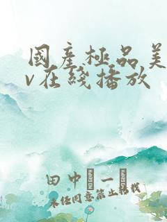 国产极品美女av在线播放