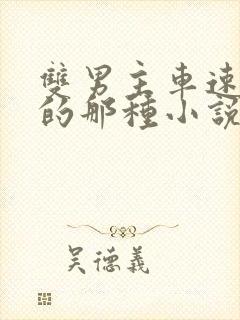 双男主车速超快的那种小说