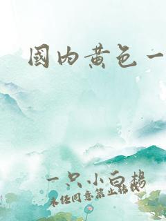 国内黄色一级片