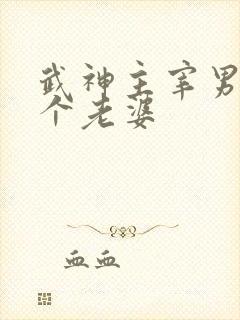 武神主宰男主几个老婆