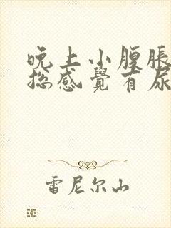 晚上小腹胀痛,总感觉有尿