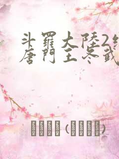 斗罗大陆2绝世唐门王冬武魂