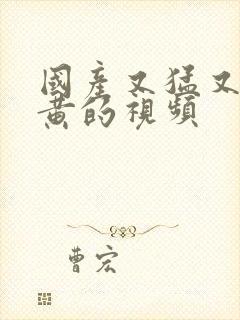 国产又猛又粗又黄的视频