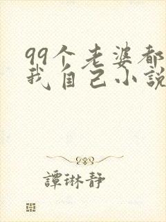 99个老婆都是我自己小说免费阅读