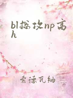 bl总攻np高h