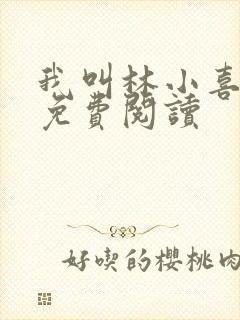 我叫林小喜全文免费阅读