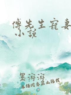 傅先生宠妻无度 小说