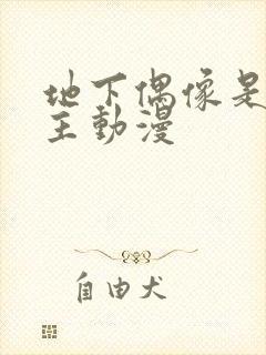 地下偶像是双男主动漫