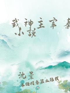 武神主宰 秦尘 小说