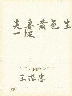 夫妻黄色生活片一级