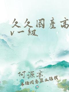 久久国产高清av一级