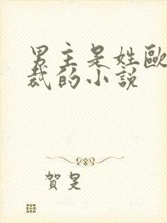 男主是姓欧的总裁的小说